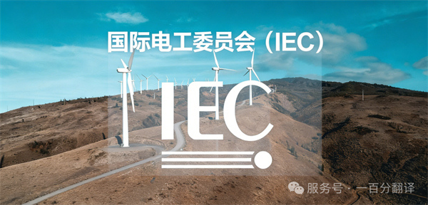 中外標準咨詢服務